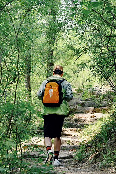 the north face green