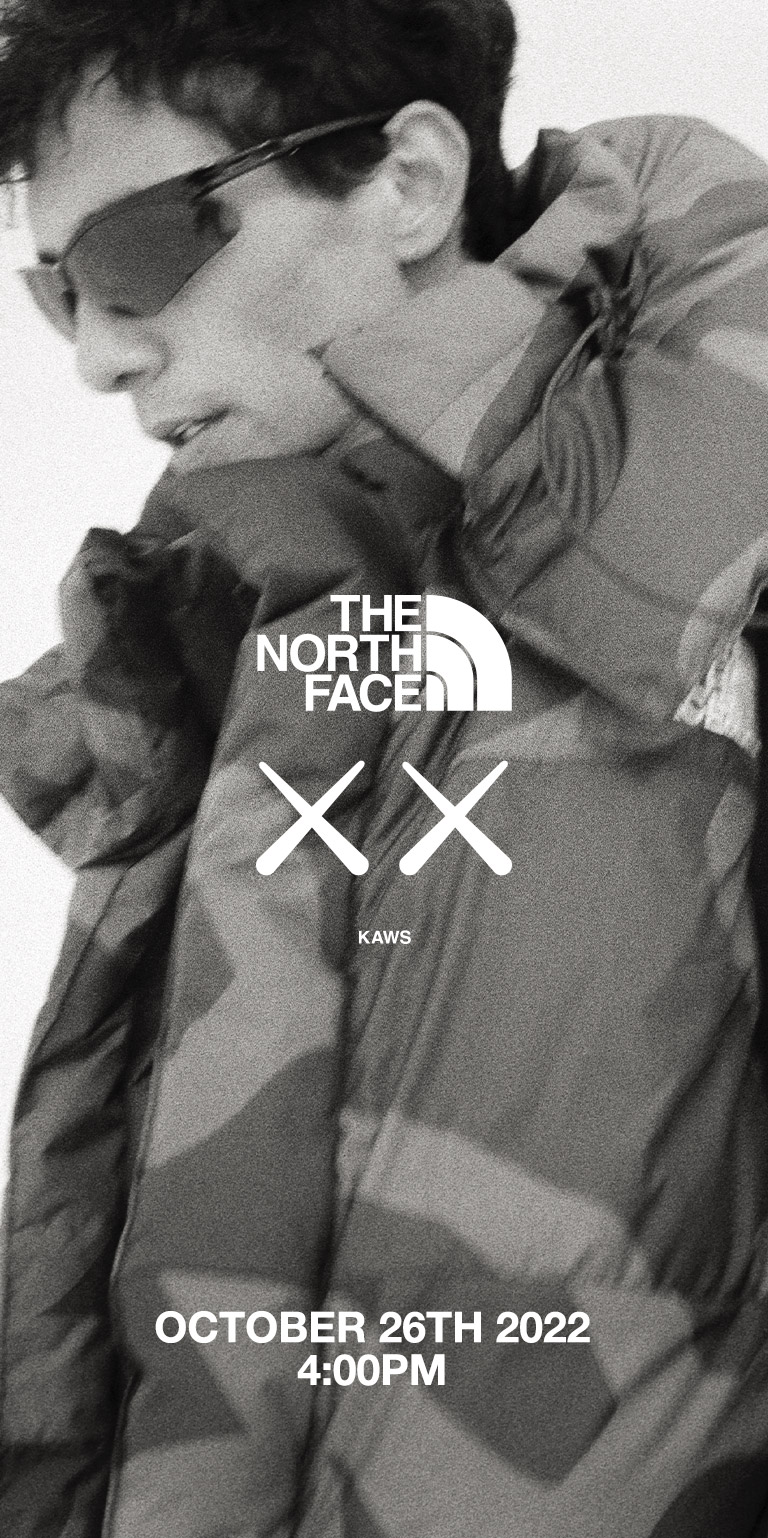 XX KAWS - The North Face