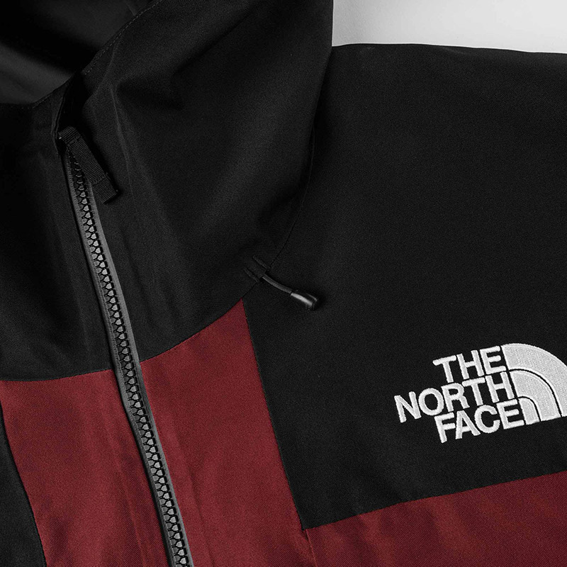 M GTX HEX JACKET - The North Face